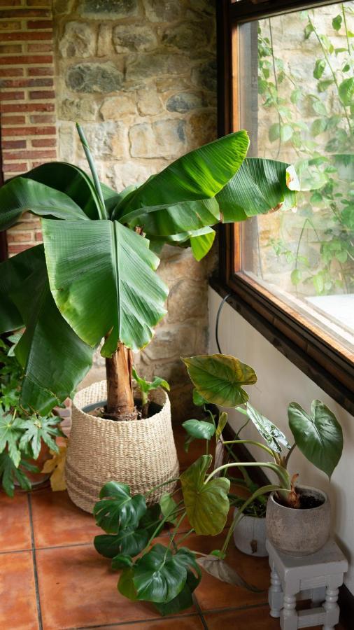 Casa 'Ohana Rioturbio Ngoại thất bức ảnh